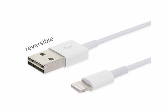 iPhone 6 reversible cable USB